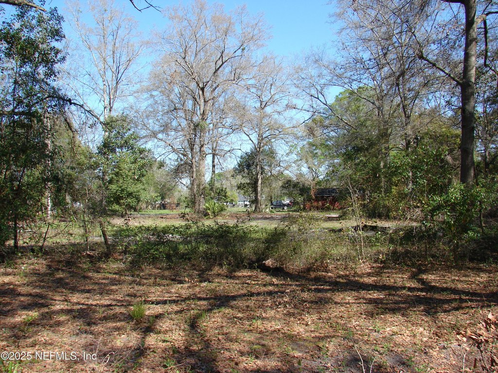 Picture 21