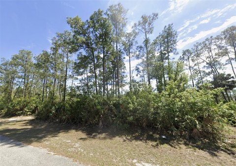 Vacant Lot in Lehigh Acres