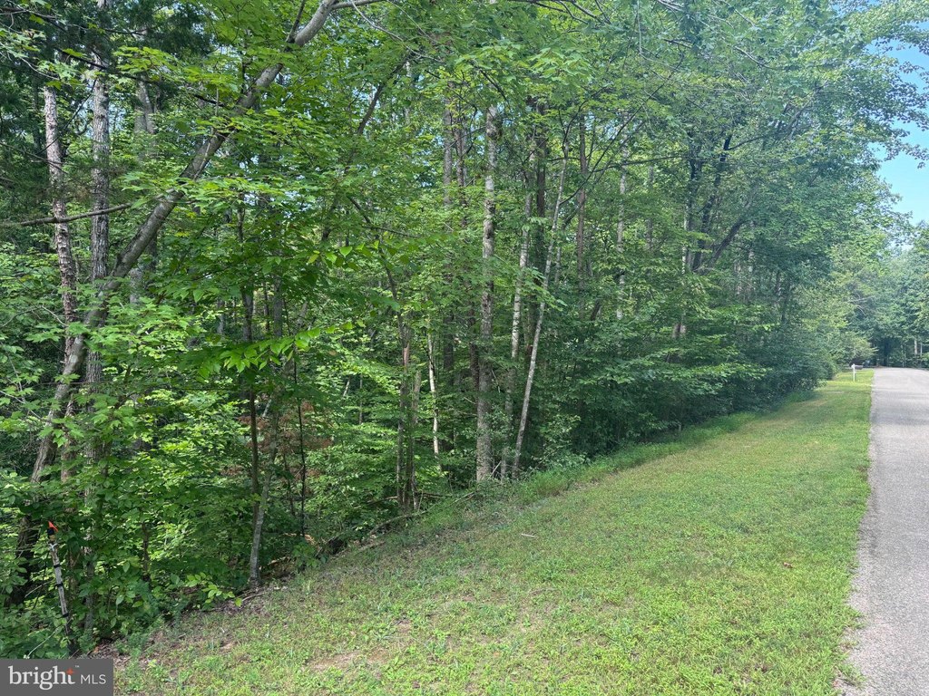 Picture 18