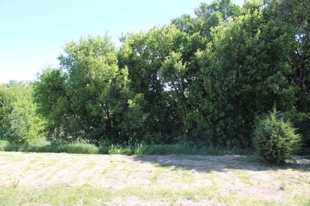 Picture 3
