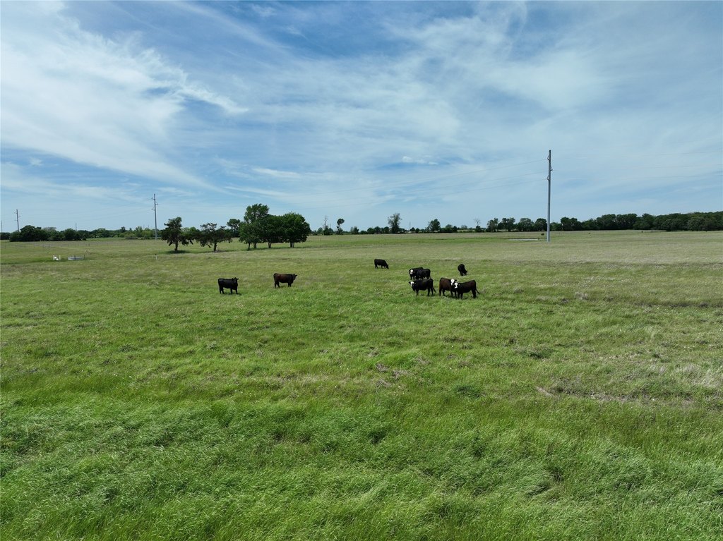 Picture 7