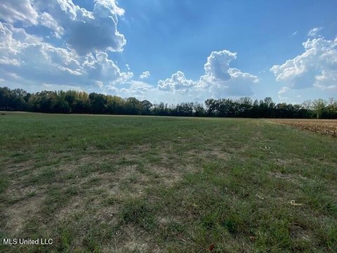 Hernando, MS Land Opportunity