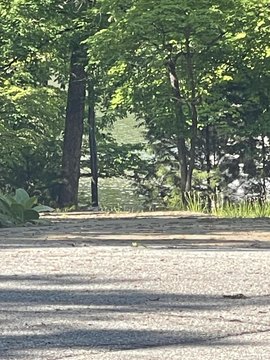 Lake Ozark Land For Sale