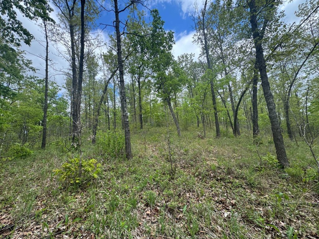 Picture 14