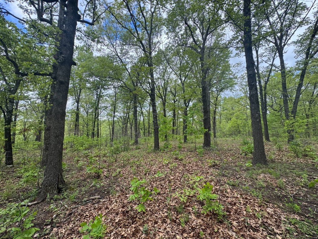 Picture 18