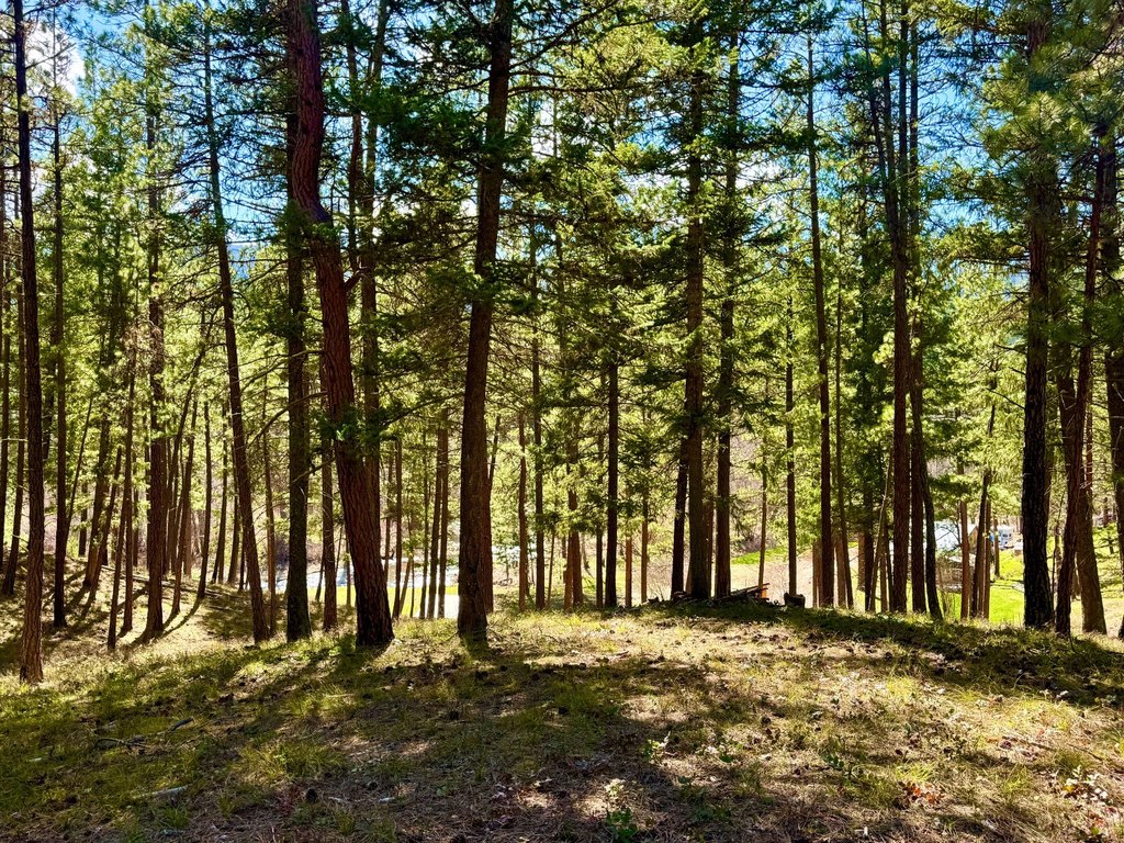 Picture 41