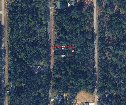 Land, DUNNELLON, FL