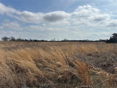 Cleared Land with Pond