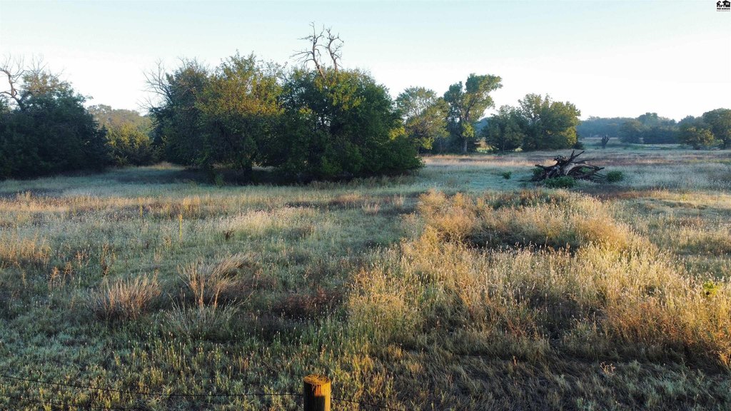 Picture 22