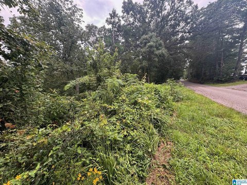 LAND/LOTS, ODENVILLE, AL
