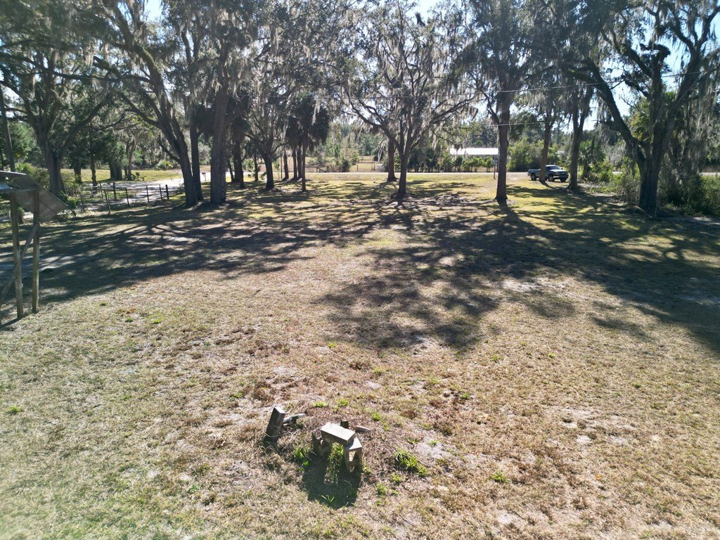 Picture 18