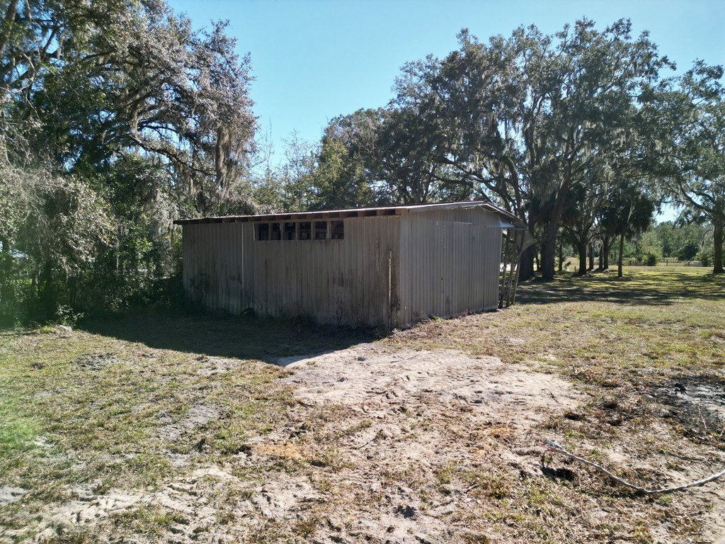Picture 12