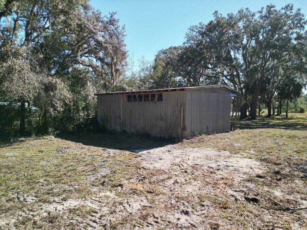 Picture 21