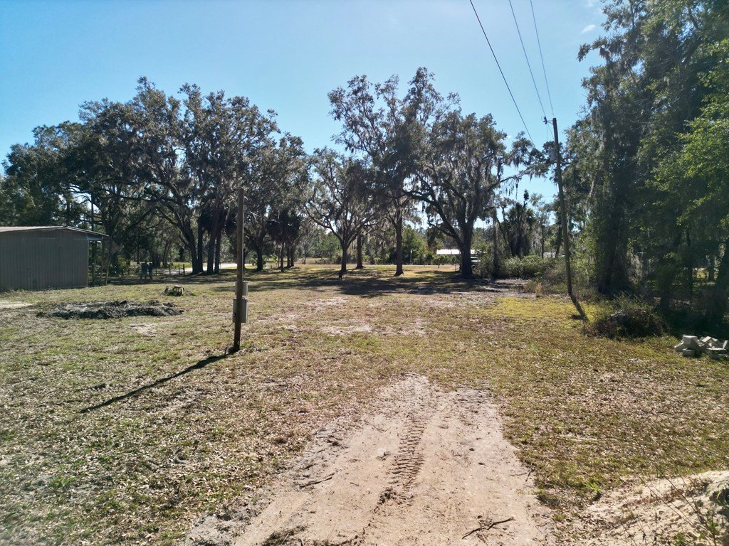 Picture 16