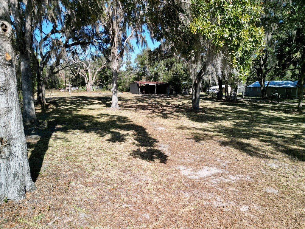 Picture 10