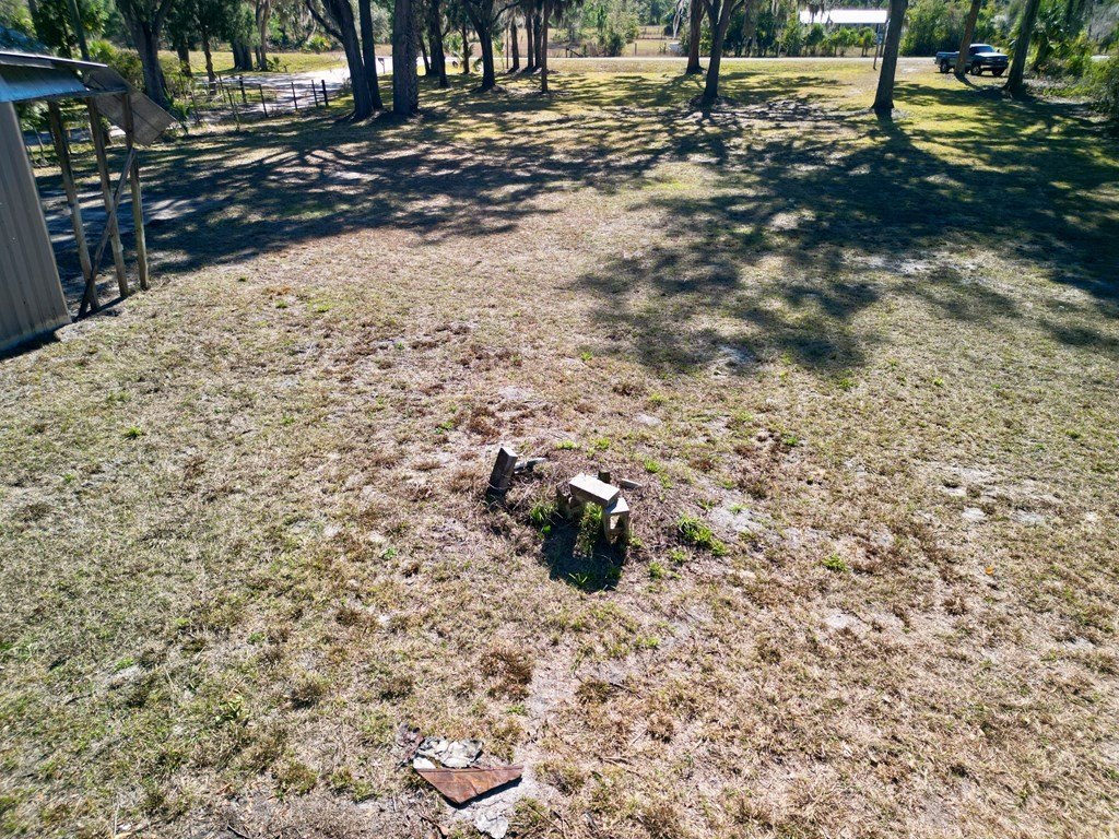 Picture 19