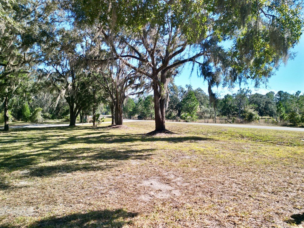 Picture 8