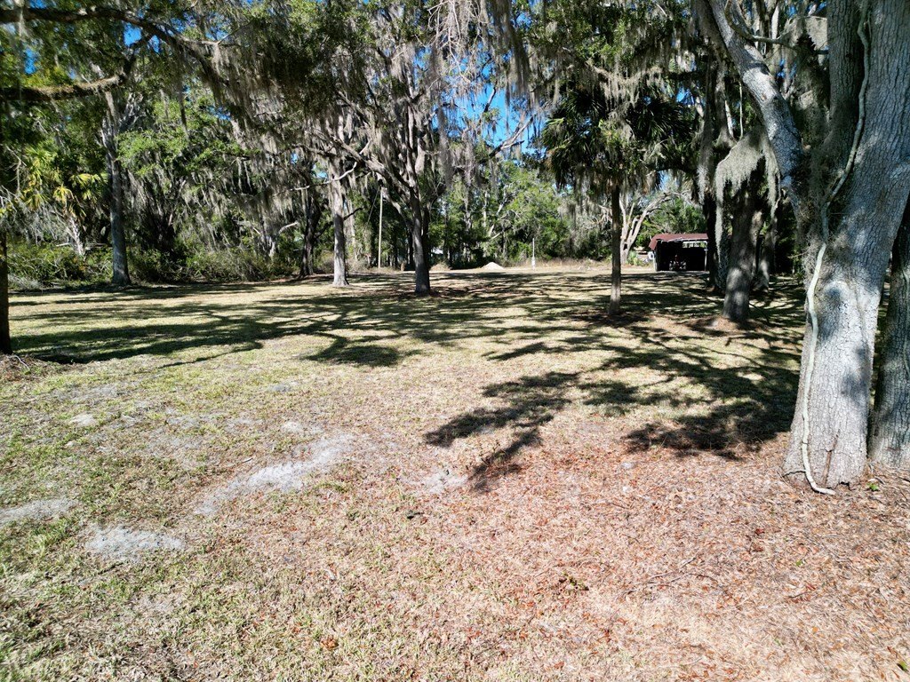 Picture 9