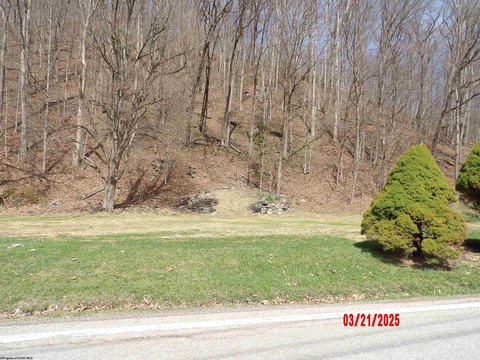 Residential Lot in Elkins, WV