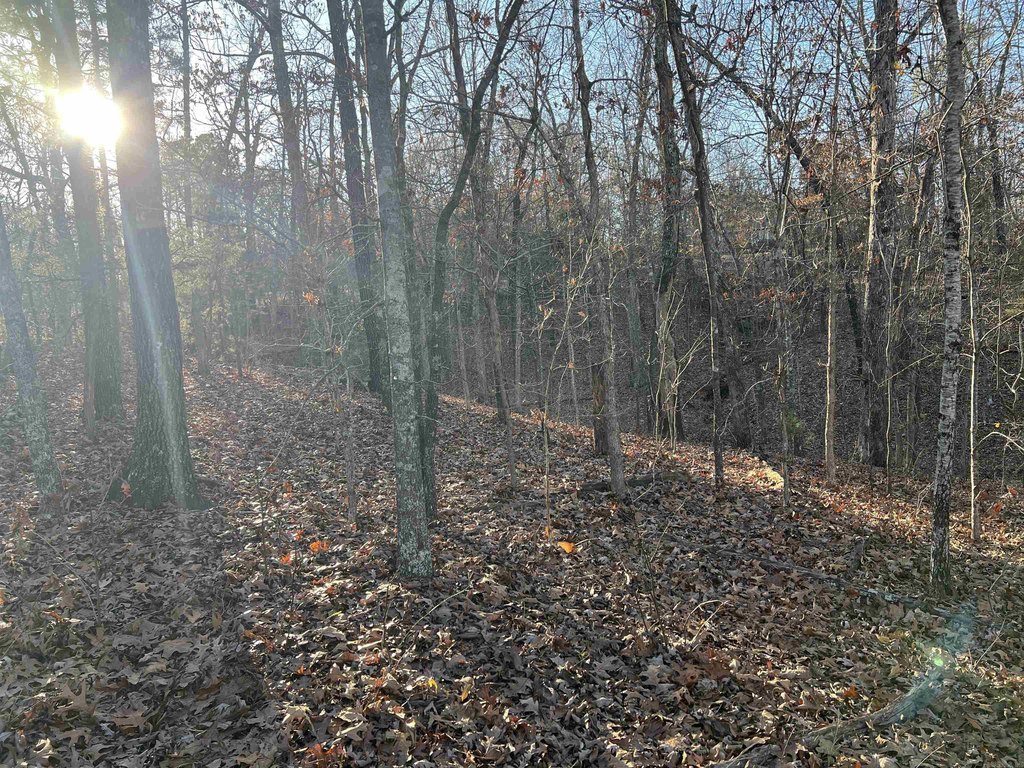 Picture 7