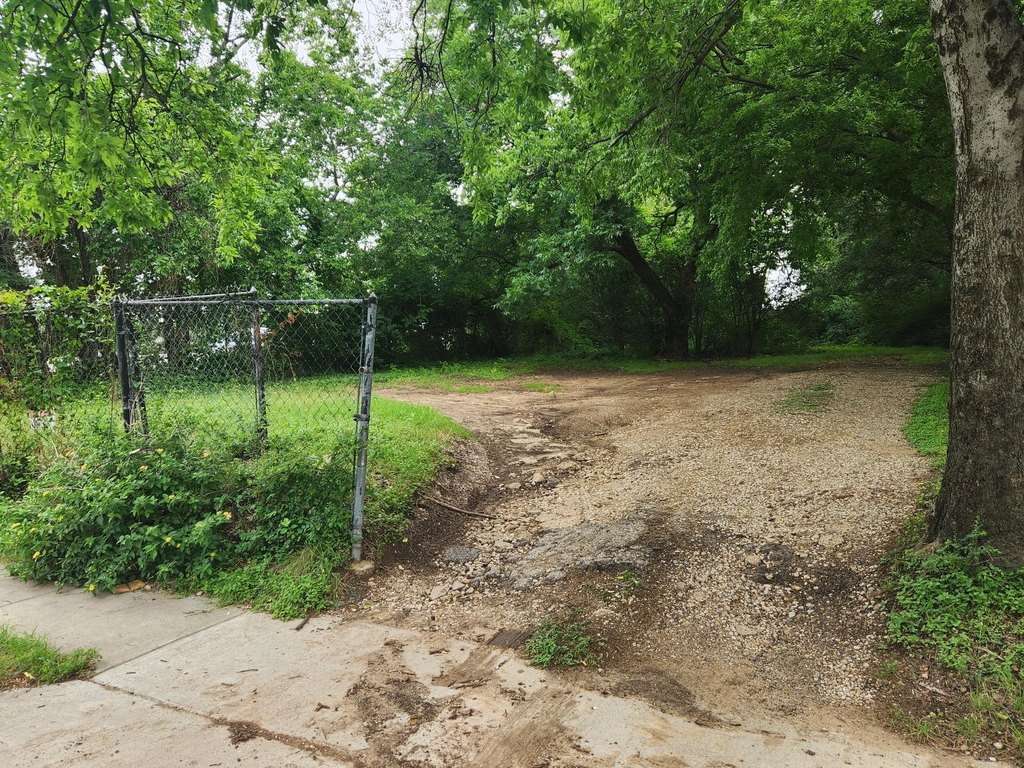 Picture 4
