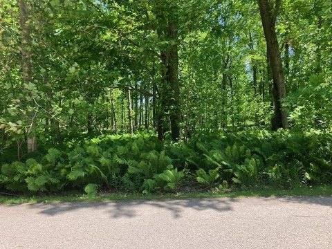 ALANSON, MI