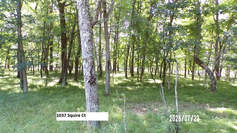LAND - Nekoosa, WI