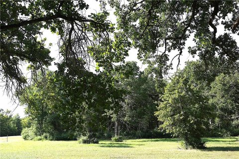 Franklin, TX Homesite with Trees
