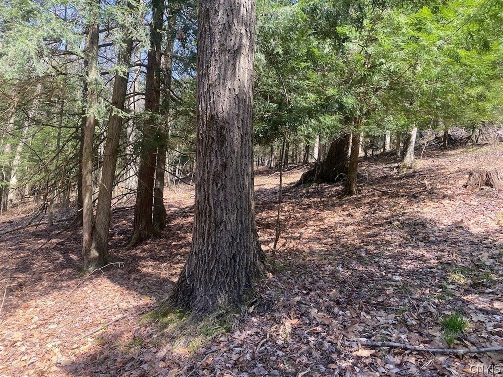 Picture 36