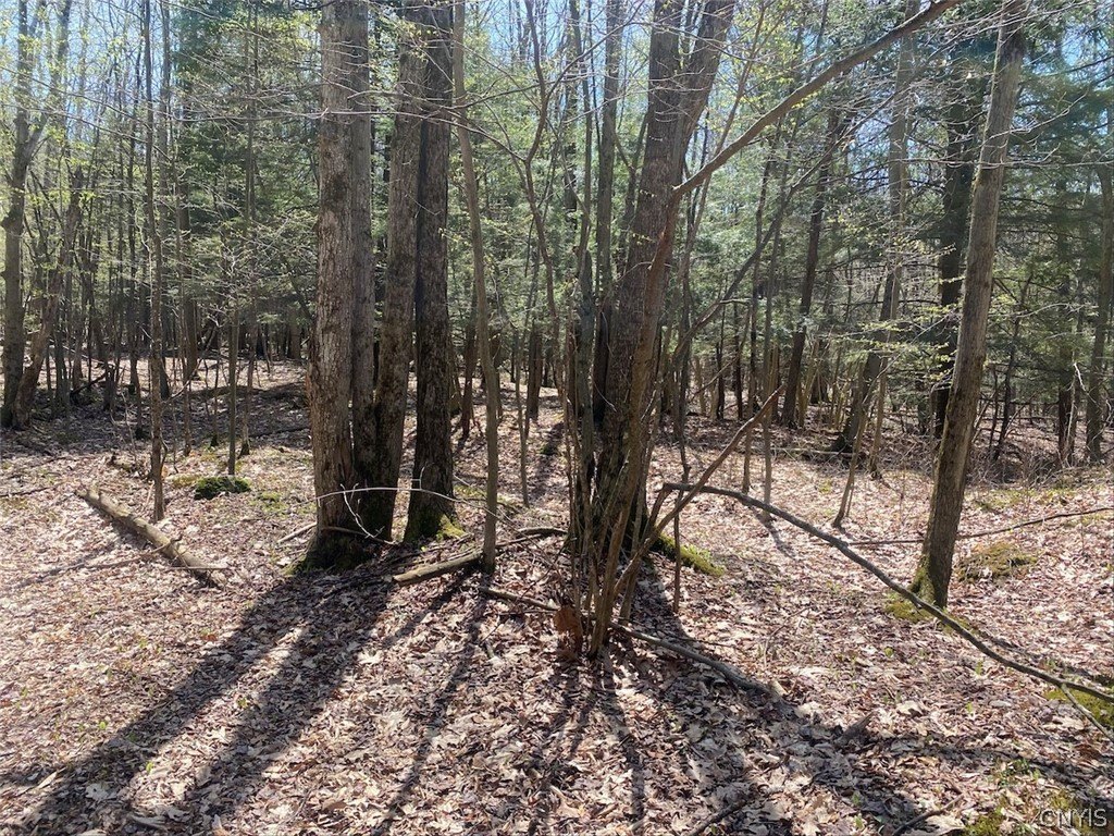 Picture 38