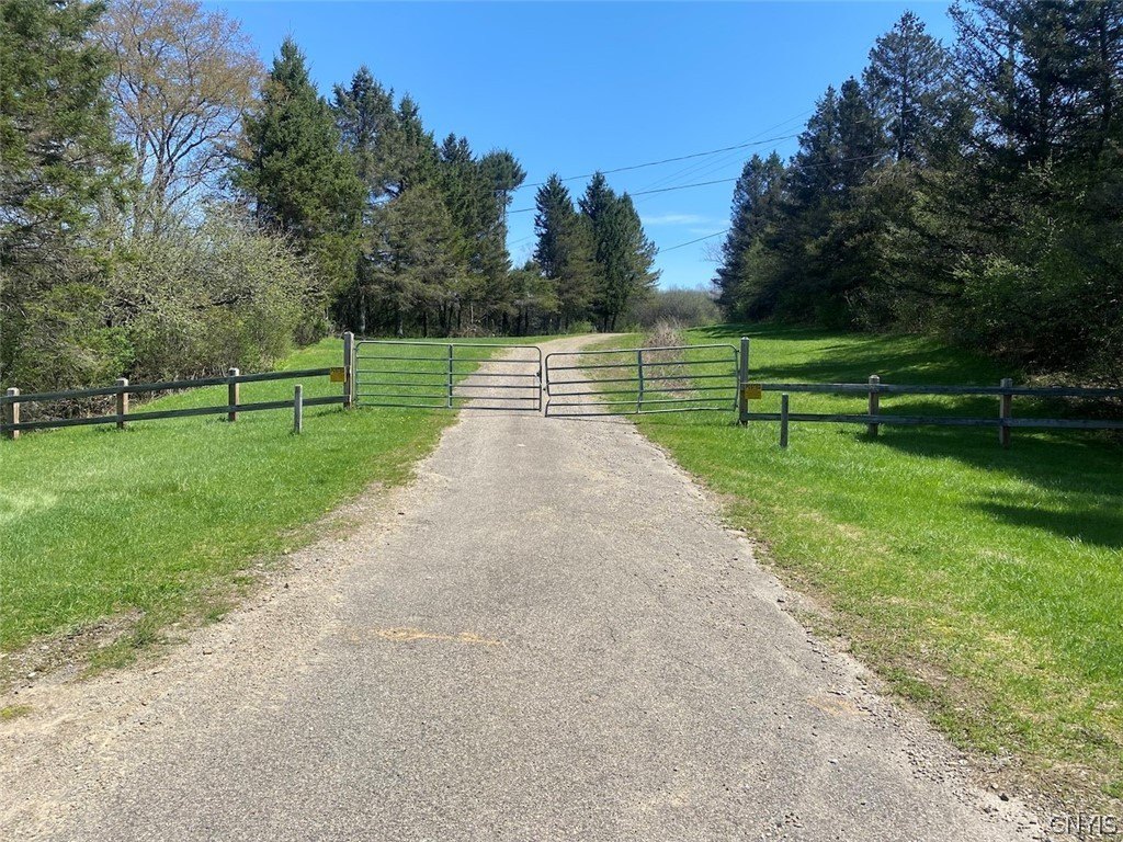 Picture 46