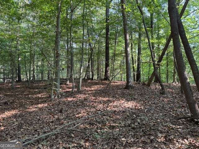 Picture 3