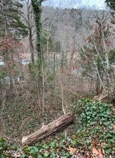 Land For Sale, Jacksboro, TN