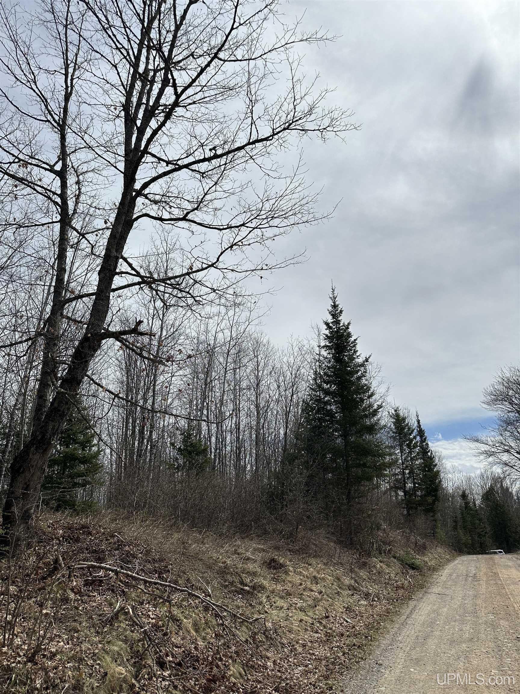 Wooded Land Near Net River