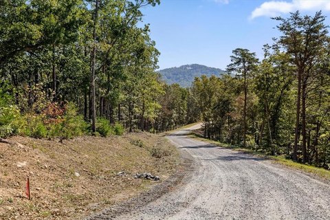 Vacant Lot, Talking Rock, GA