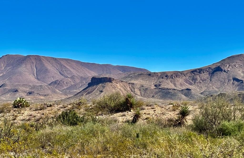 40 Acres in Terlingua, TX