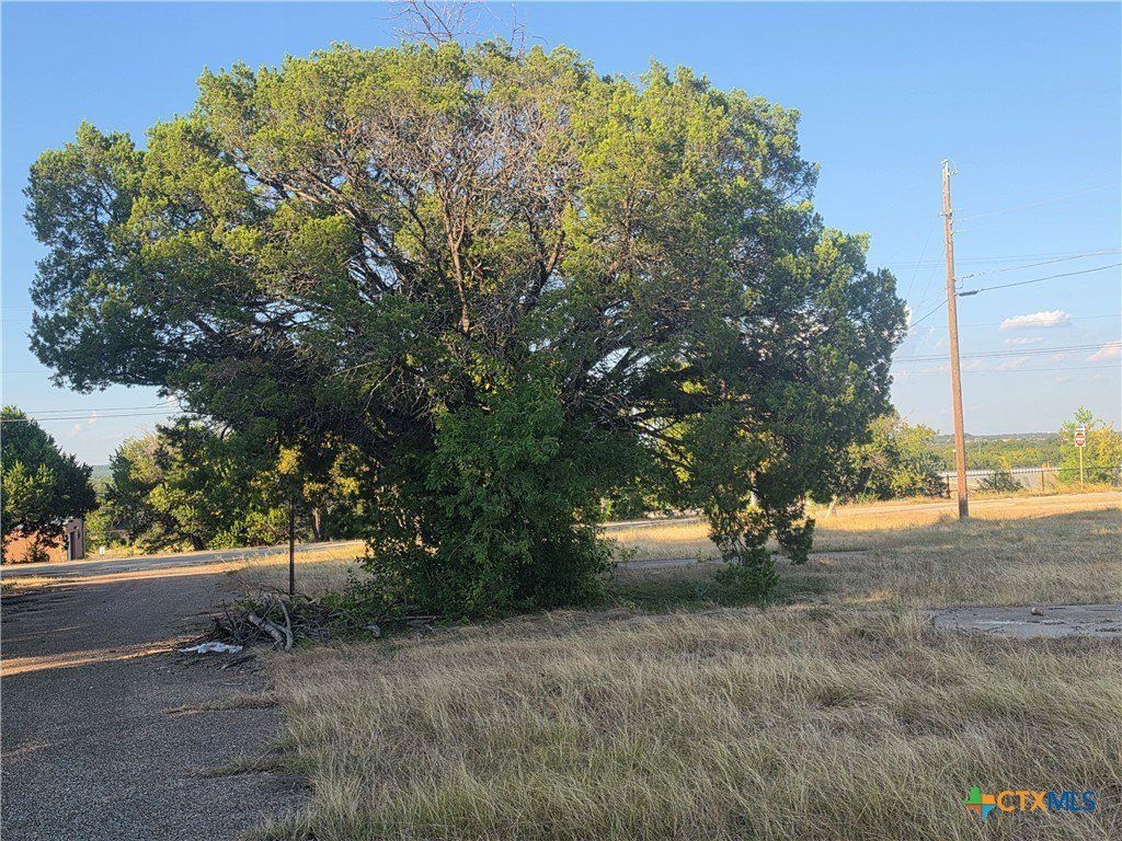 Picture 18