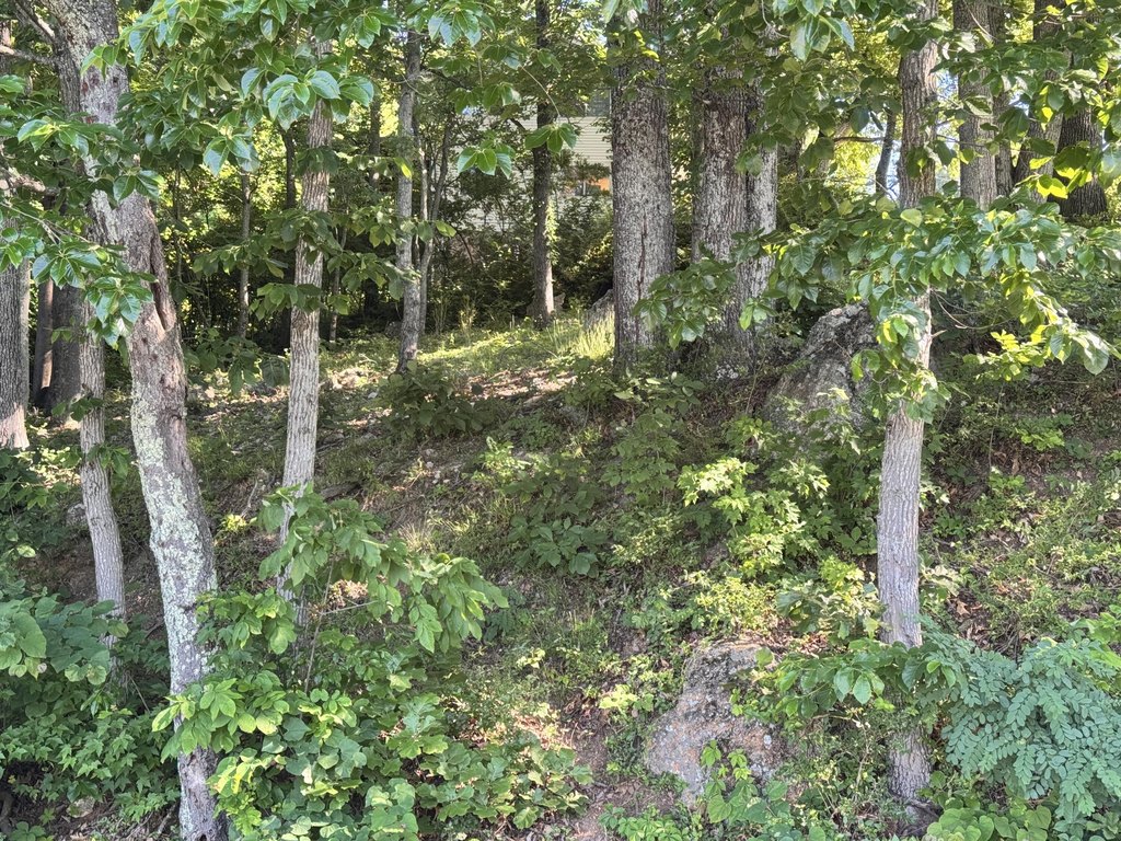 Picture 4