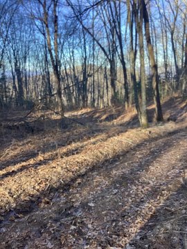 Secluded Land with Mountain Views