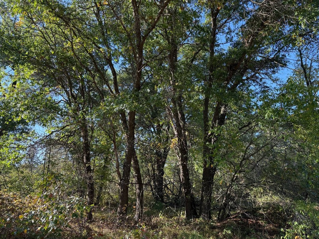 Picture 6
