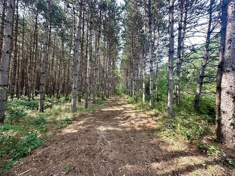 Land, Colfax, WI