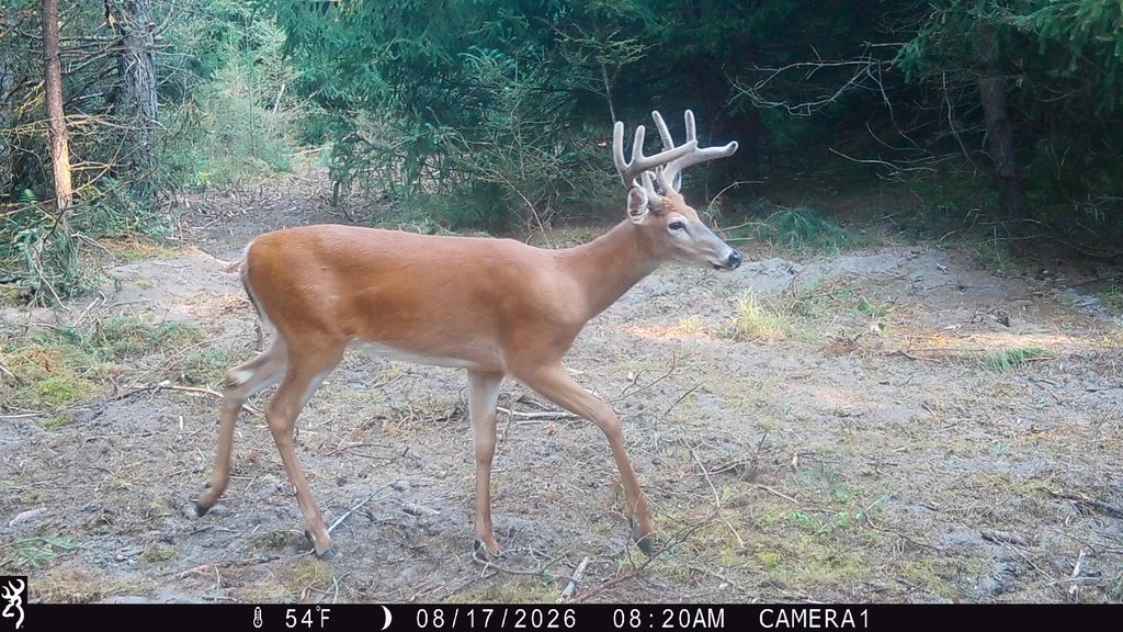 Picture 6