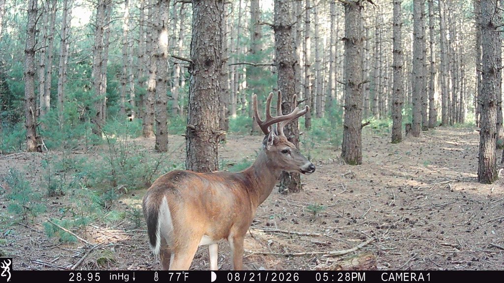 Picture 9