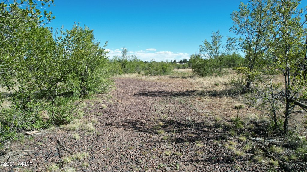 Picture 18