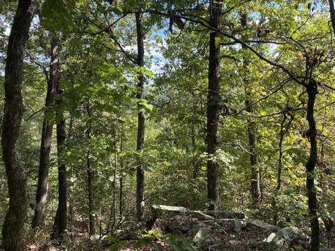 Mountain View Wooded Lot