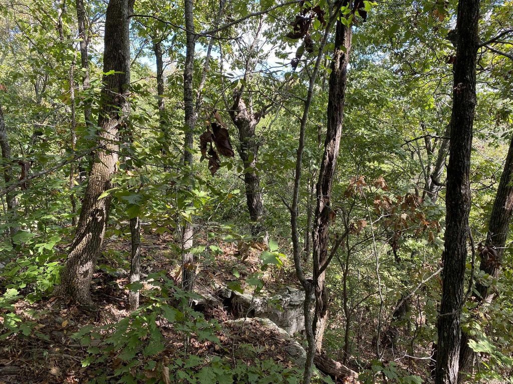 Picture 4