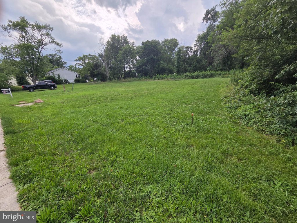 Picture 2