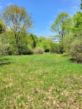Wooded Lot in Portage Ridge