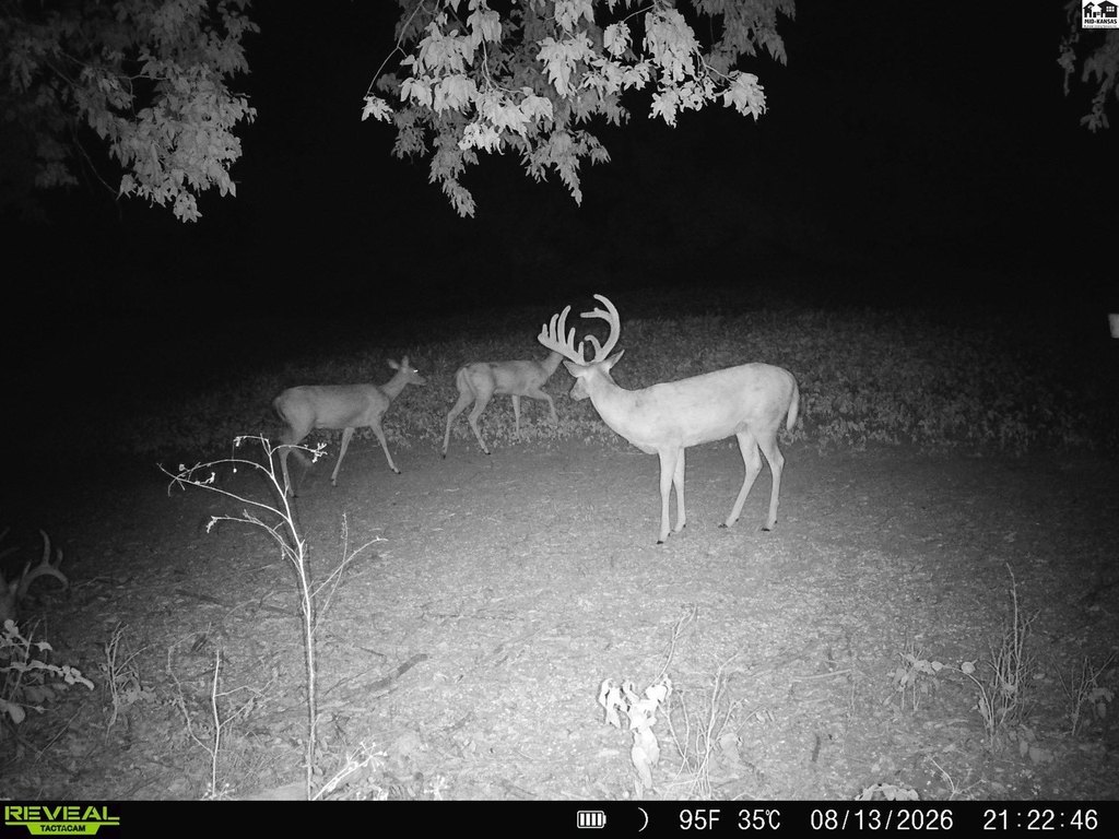 Picture 5
