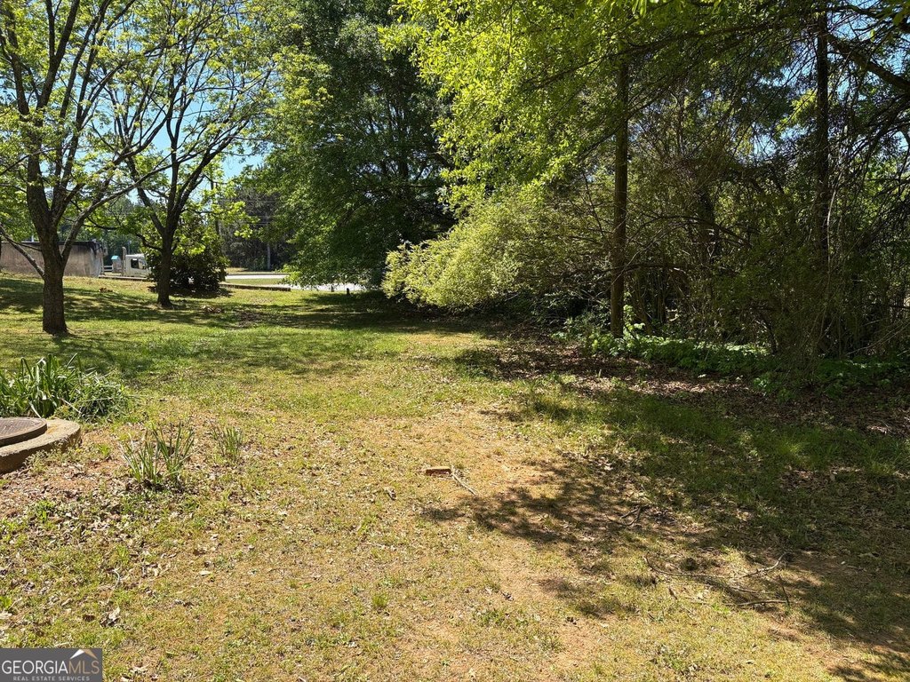 Picture 22